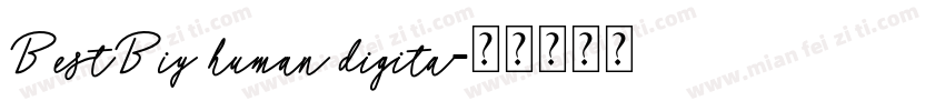 BestBiy human digita字体转换